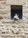 2017-09-28 12-15-27 La Roche Bernard FGn